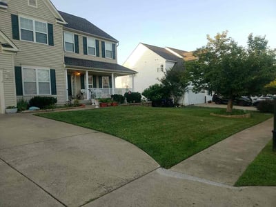 Lawn Care service in Stafford, 22554