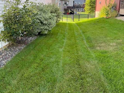 Lawn Care service in Cottage Grove, 55016