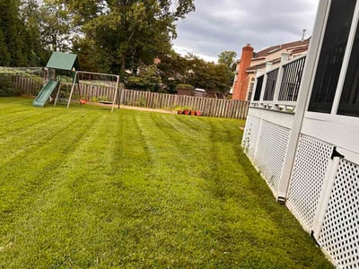 Lawn Care service in Chantilly, 20151