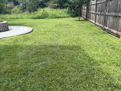 Lawn Care service in Tysons, 22182