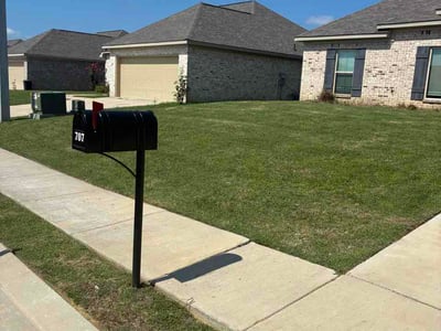 Lawn Care service in Pearl, 39208