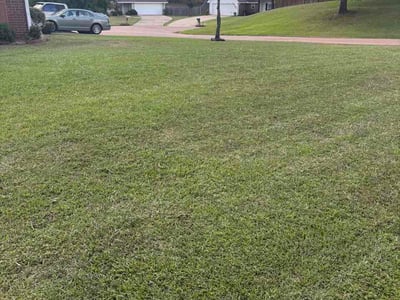 Lawn Care service in Pearl, 39208