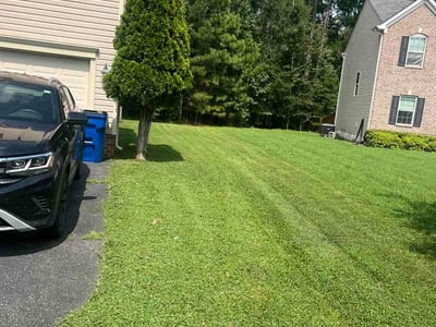 Lawn Care service in Chesterfield, 23832