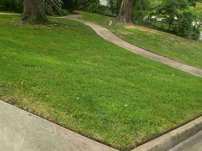 Lawn Care service in Tysons, 22182