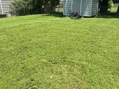 Lawn Care service in Coweta, 74429