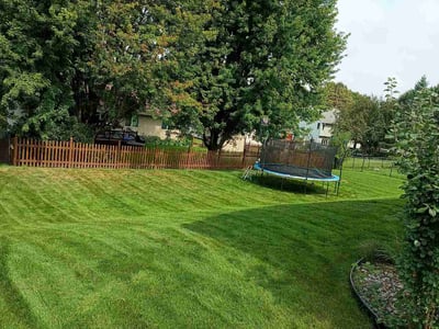 Lawn Care service in Saint Michael, 55376
