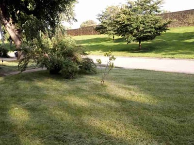 Lawn Care service in Brooklyn Center, 55429