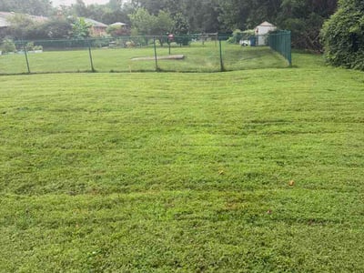 Lawn Care service in Springfield, 22150