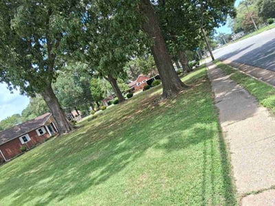 Lawn Care service in Dumfries, 22026