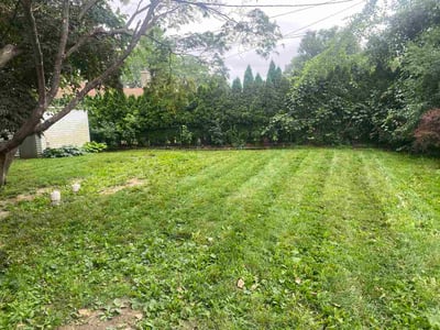 Lawn Care service in Southfield, 48075
