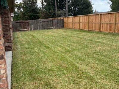 Lawn Care service in Kingwood, 77339