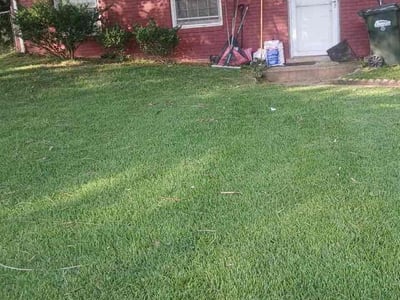 Lawn Care service in Culpeper, 22701