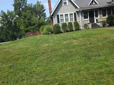 Lawn Care service in Purcellville, 20132