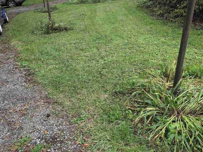 Lawn Care service in Front Royal, 22630