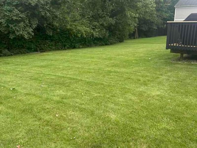 Lawn Care service in Mount Gilead, 43338