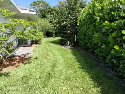 Lawn Care service in Port St Lucie, 34952