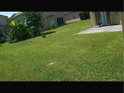 Lawn Care service in Port St Lucie, 34952
