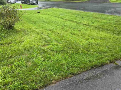 Lawn Care service in Fort Washington, 23936