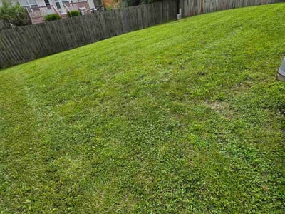 Lawn Care service in Lancaster, 43130