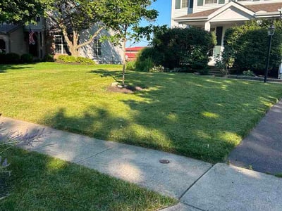 Lawn Care service in Upper Arlington, 43212