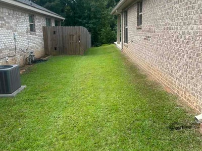 Lawn Care service in Mobile, 36602
