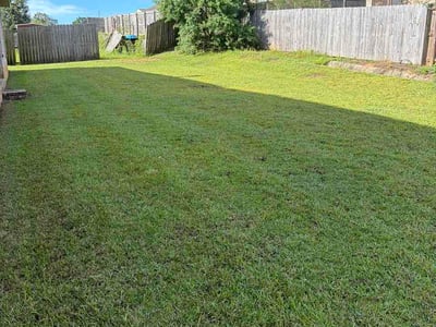 Lawn Care service in Mobile, 36602