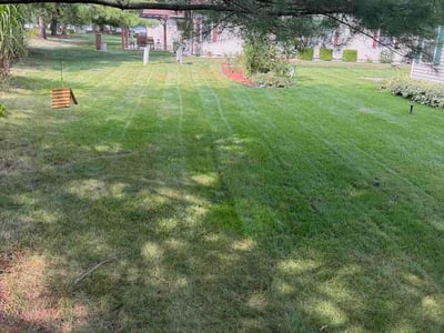 Lawn Care service in Lansing, 48933