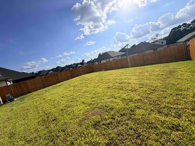 Lawn Care service in Willis, 77378
