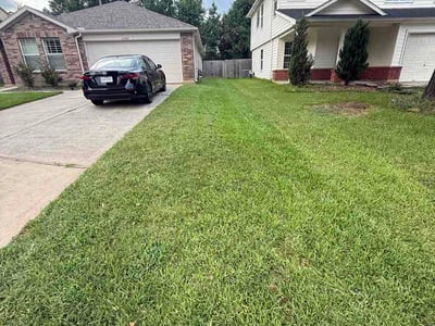 Lawn Care service in Willis, 77378