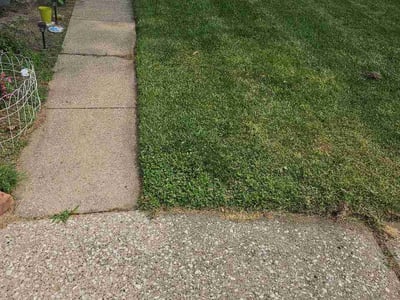 Lawn Care service in Holland, 43528