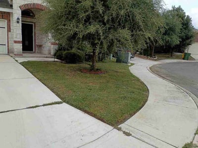 Lawn Care service in Shavano Park, 78231