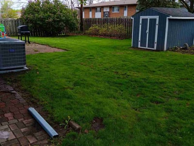 Lawn Care service in Anoka, 55303