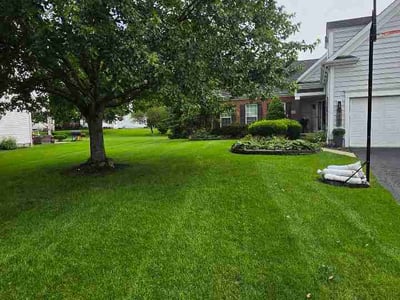 Lawn Care service in Powell, 43065