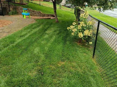 Lawn Care service in Burnsville, 55337