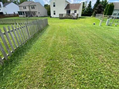 Lawn Care service in New Lexington, 43764