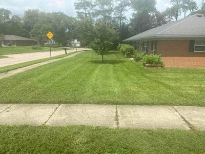 Lawn Care service in Tipp City, 45371