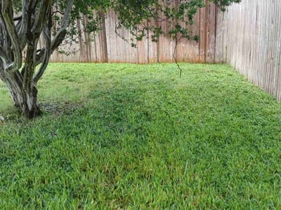 Lawn Care service in Stone Oak, 78258