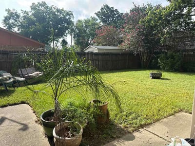 Lawn Care service in Pasadena, 77506