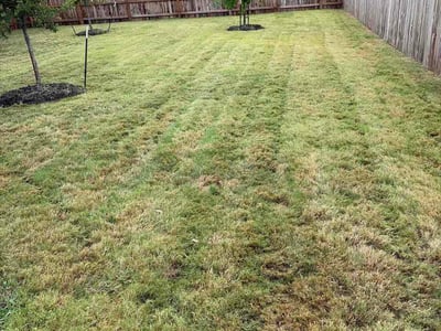 Lawn Care service in Floresville, 78114