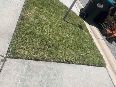 Lawn Care service in Hunters Creek, 32837