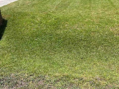 Lawn Care service in Fresno, 77545