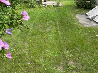 Lawn Care service in Mansfield, 02048