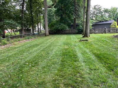 Lawn Care service in Gahanna, 43230