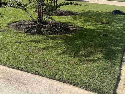 Lawn Care service in Rosenberg, 77471