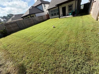 Lawn Care service in Tomball, 77375
