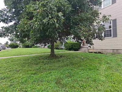 Lawn Care service in Orient, 43146