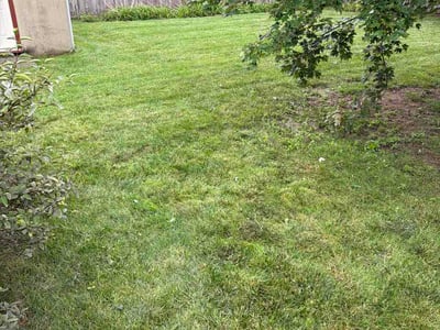Lawn Care service in Orient, 43146