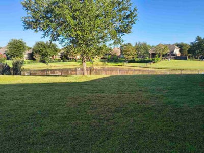 Lawn Care service in Sugar Land, 77479