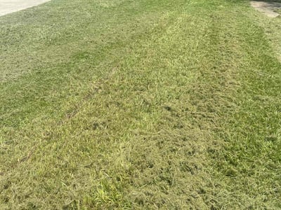 Lawn Care service in Worcester, 01608