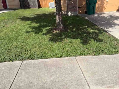 Lawn Care service in Converse, 78109